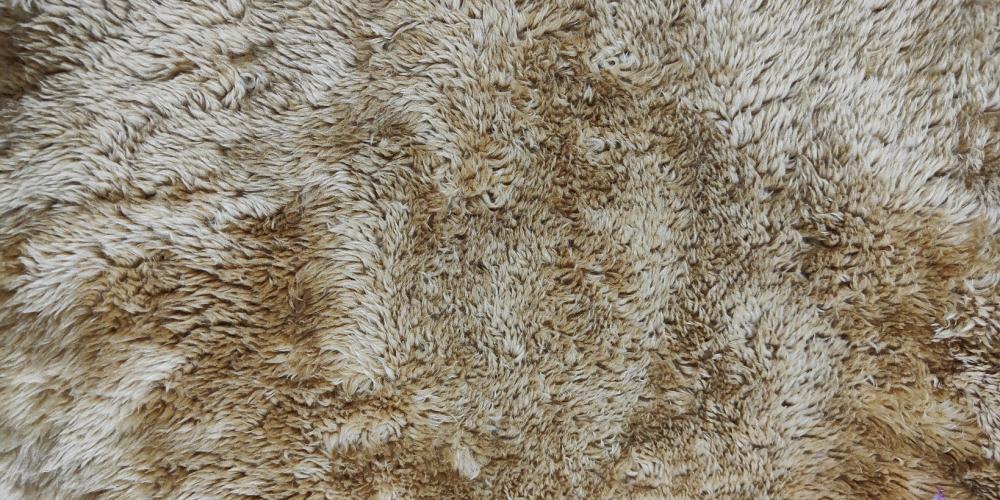 100% polyester sherpa fleece fabric