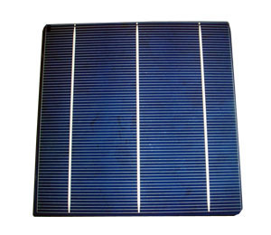 polycrystalline silicon solar cells