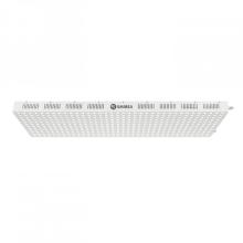 Led Photon Light Therapy Led Red Light Therapy