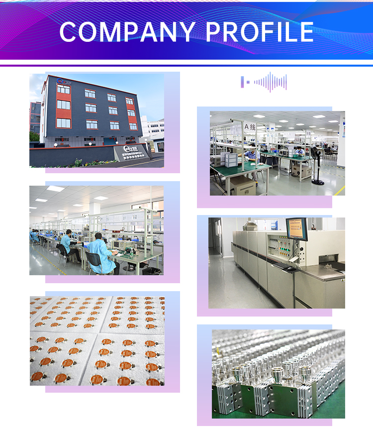 Company Profile (2) Company Profile (2)