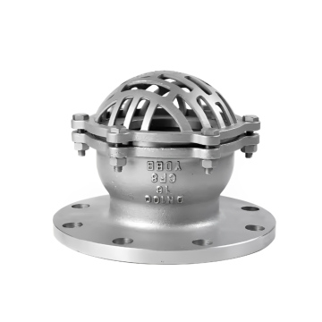 Stainless Steel Flanged Water Pump Foot Valve