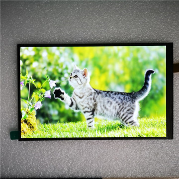 10.1 inç TFT LCD Ekran