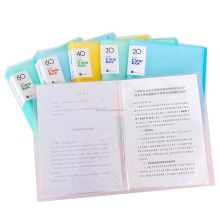Candy Color A4 Clear Pocket Conference File Folder