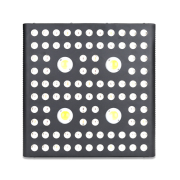 AGLEX Plant LED Light 2000w Cultiver pour la floraison