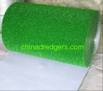 Gold Ming Grass Gold Rush Grass?