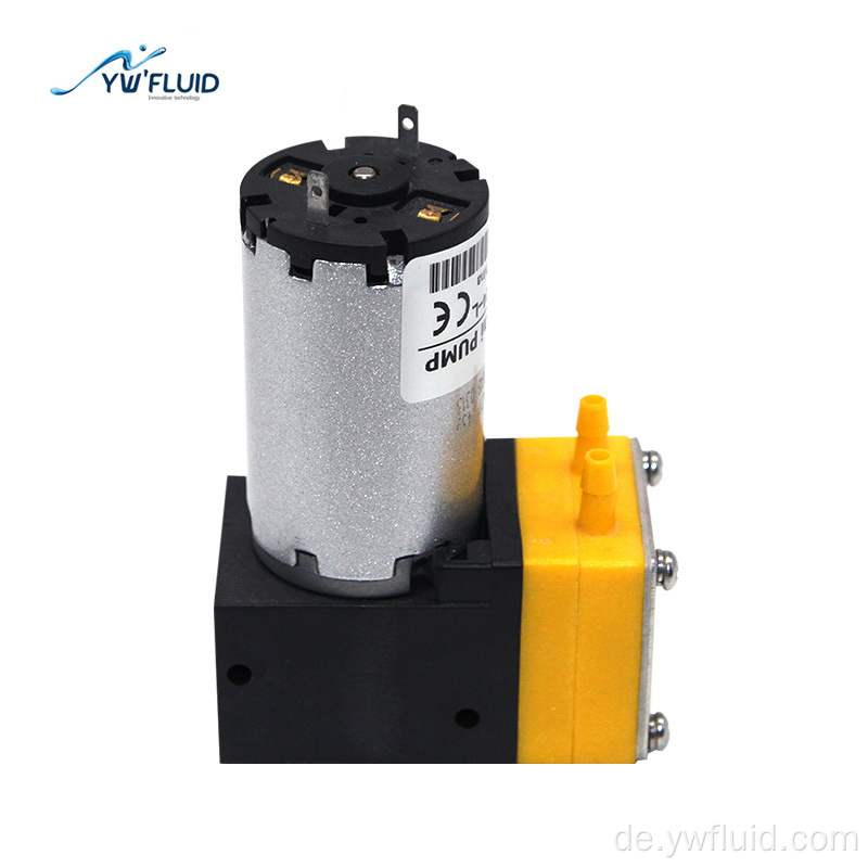 12V/24V DC-Motor elektrische Hochdruck-Tintenstrahlpumpe