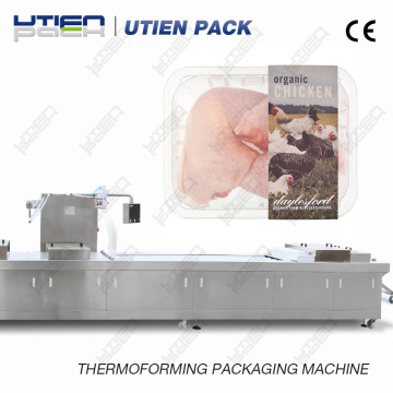 Automatic thermoforming chicken packing machine