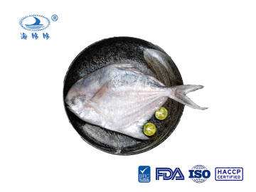 Zhoushan Pomfret Frozen Seafood