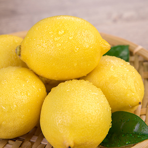 Bogata jakość wyprzedaż świeże żółte cytryny