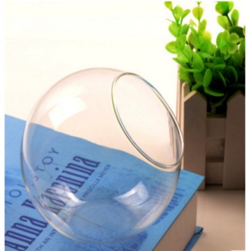 Tabletop Plant Glass Terrarium