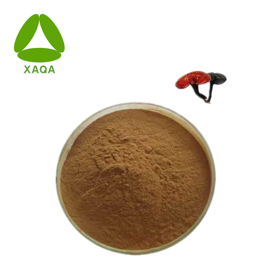 Ganoderma Sporenpulver Ganoderma Spore Powder