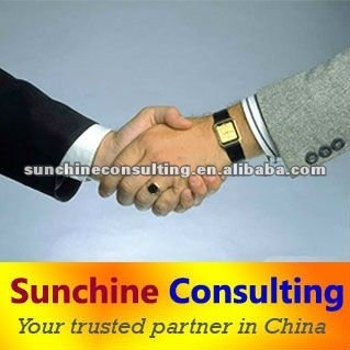 Consulting services