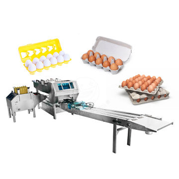 ORME Poultry Egg Pack Machine: Automatic Chicken Egg Tray Pack Machine for Sale