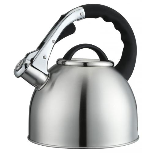 Arcs Caping of Lid Silver Whistling Kettle