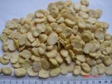 SPLIT BROAD BEANS 2009 CROP(656)