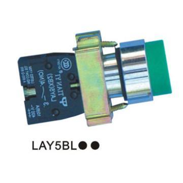 Projecting Pushbuttons