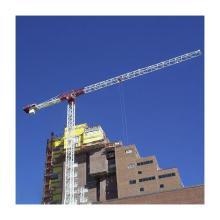 Binjing Low Price QTZ Self Erecting Construction Tower Cranes