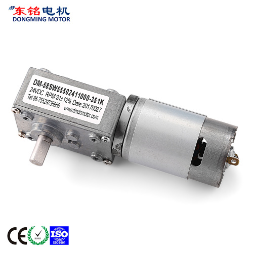 dc worm gear motor 24v
