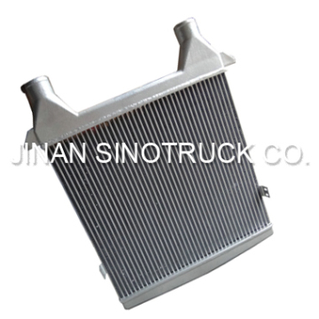 DONG FENG Spare Parts Ntercooler