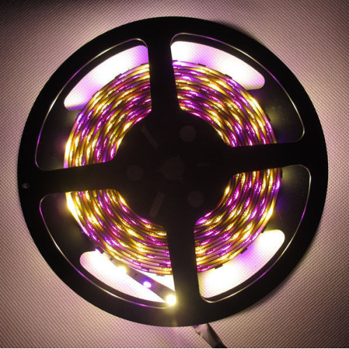 RGB 60pcs/M flexible led strip light 5050