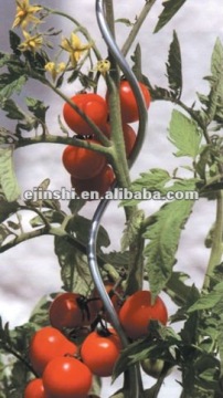 spiral plant support stakes