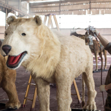 Animatronic Polar Bear for Sale