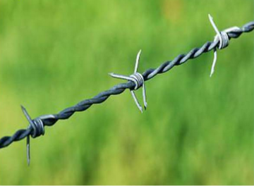 higth Quality Barbed Wire for sale