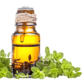 100 ٪ روغن اسانس خالص Marjoram در فروش داغ