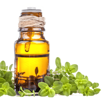 100% Pure Marjoram Essential Oil in hot sale