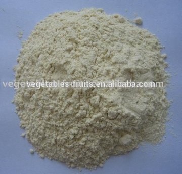 dehydrated white onion powder