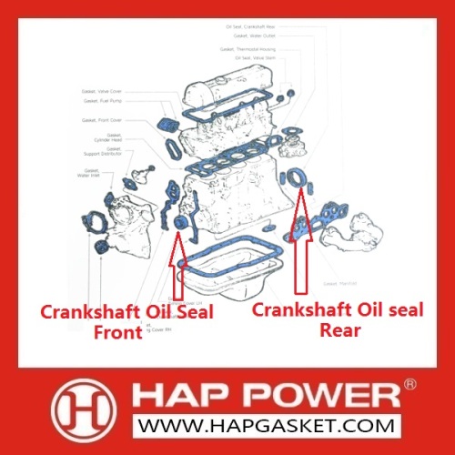 Crankshaft Oil Seal 3921927