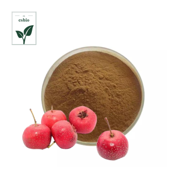 Hawthorn Berry Extract Flavanone Powder