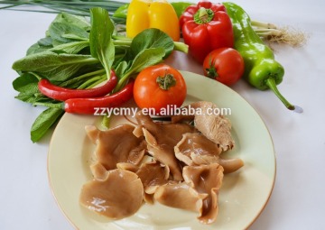 Canned Abalone Mushroom Manufacturers