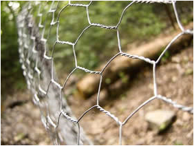 PVC coated hexagonal mesh, chicken mesh price