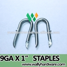 1 3 4 inch Barbed Fence Staples