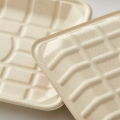 Biodegradable Sugarcane Bagasse Tray Featuring Corrugated Surface