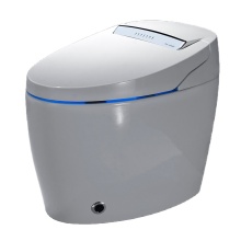 Modern Japanese Smart Toilet Bidet for Affordable Hotels