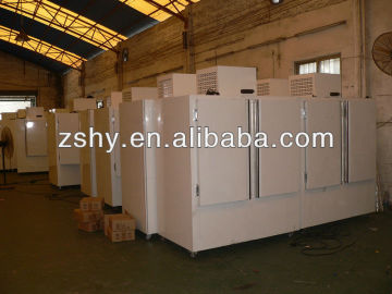 outdoor ice merchandiser for gas station