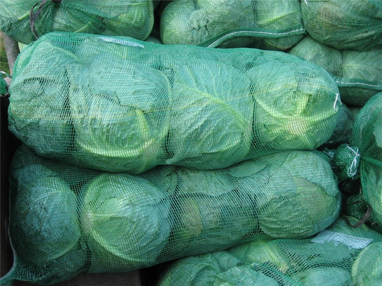 Chinese Fresh Cabbage Bulk Price