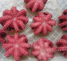 Frozen octopus boiled cut leg