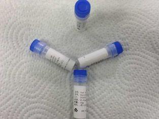 Medical IgG Goat Polyclonal Anti body Custom Polyclonal Ant