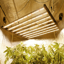 Luce di coltivazione a LED piegabile 640W ALTA REDA
