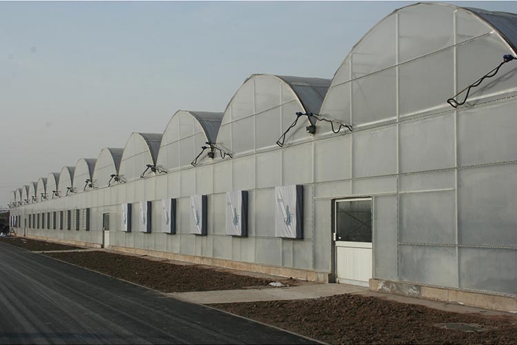 Multi-span cheap agricultural film Tunnel Plastic greenhouse