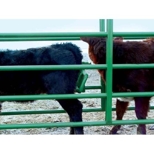 Horse Fence Panels, um einen runden Stift zu bauen