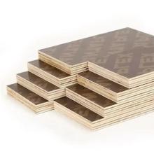 Customized Black Film Faced Plywood