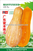 Orange Yellow Sweet pumpkin seeds For Sale-Guangdong Local Sweet Pumpkin