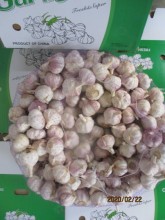 how to keep garlic fresh 2019