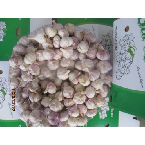 how to keep garlic fresh 2019