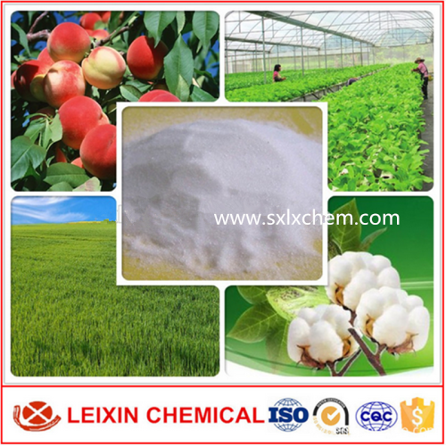 potassium sulphate Agriculture Grade white crystal or granular powder