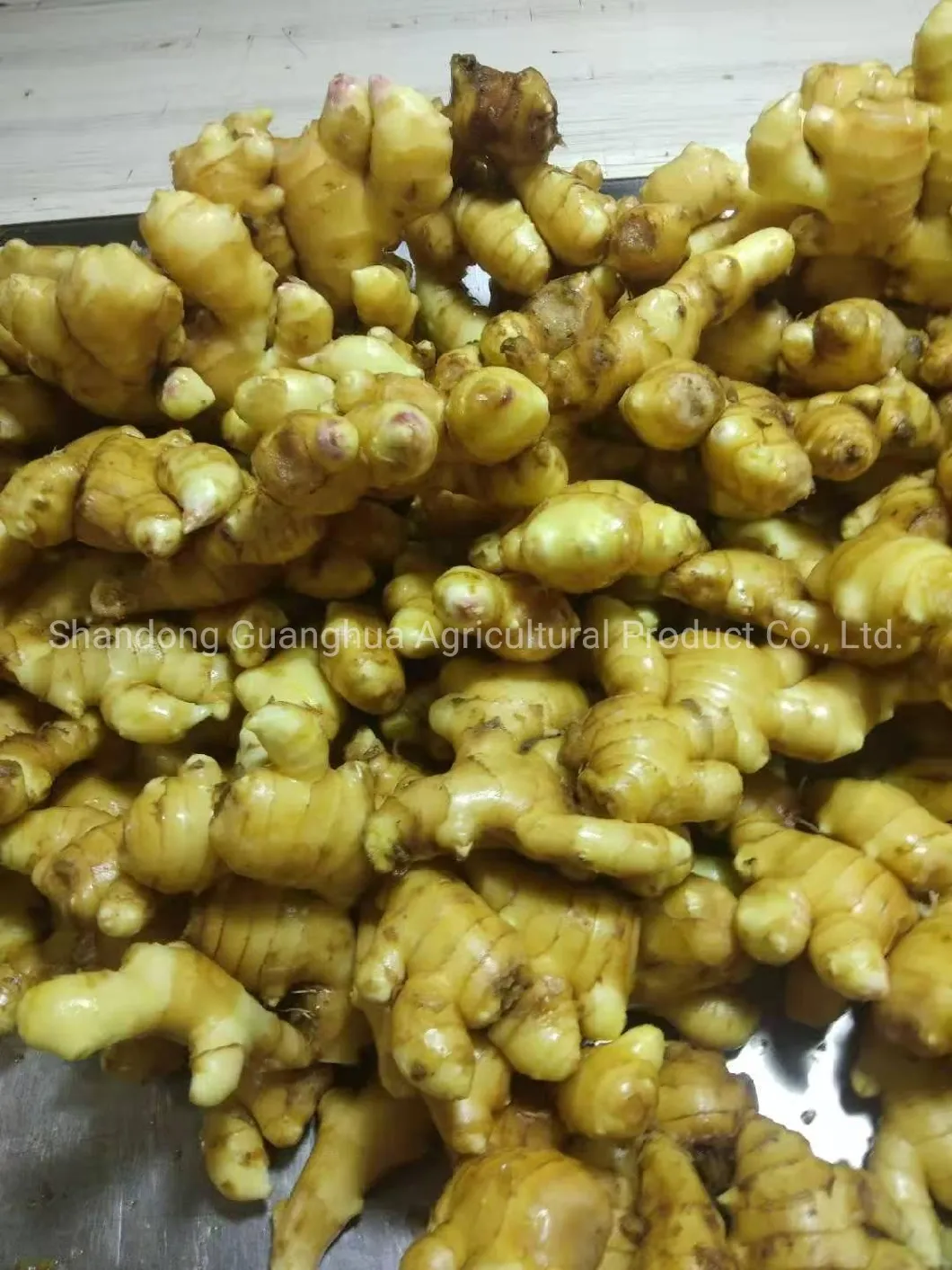 Hot Sales New Crop Fresh Ginger